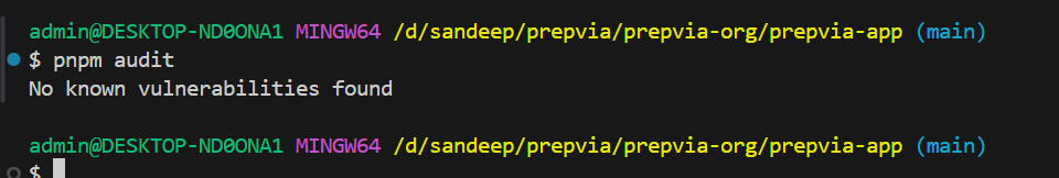 pnpm audit clean